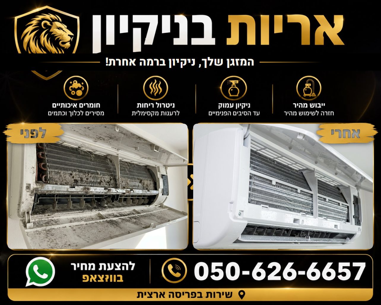 לפני ואחרי - ניקוי מזגן
